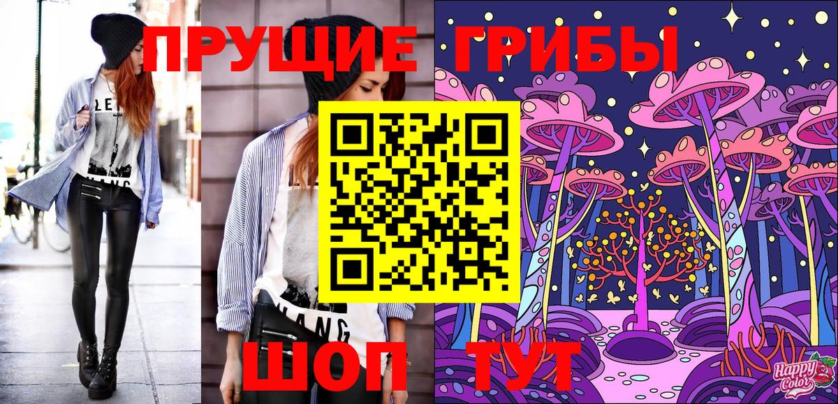 Галлюциногенные грибы Psilocybine cubensis  Вход с VPN  Галлюциногенные грибы MAGIC MUSHROOMS  Коряжма 