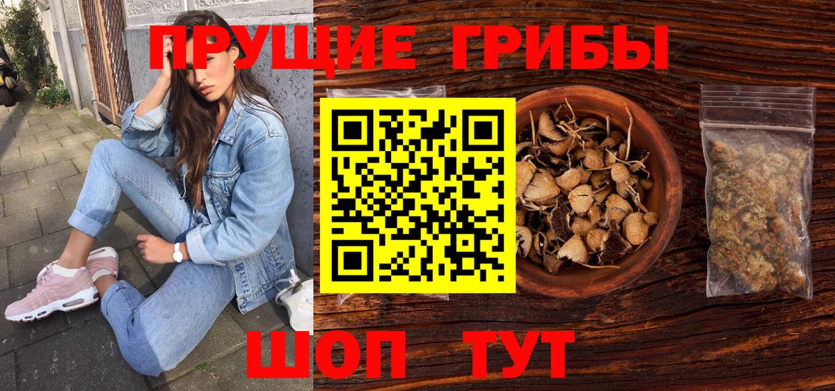Галлюциногенные грибы Psilocybe Коряжма