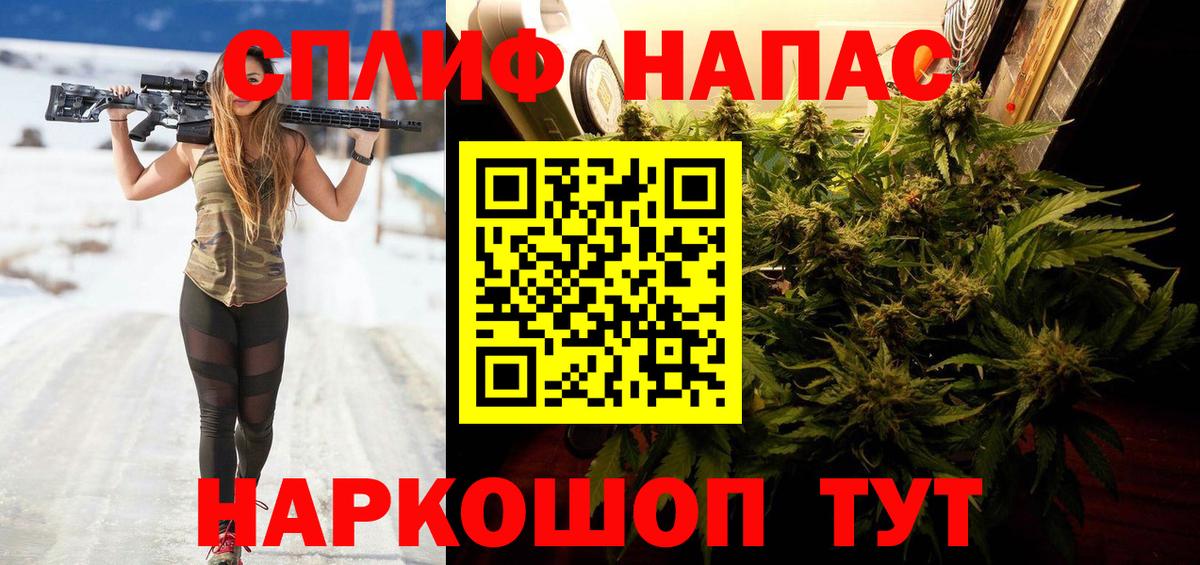 Бошки марихуана марихуана Коряжма